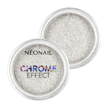 Pyłek Chrome Effect  –  Silver
