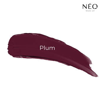 Long Lasting Liquid Lipstick: 10 PLUM BURGUND