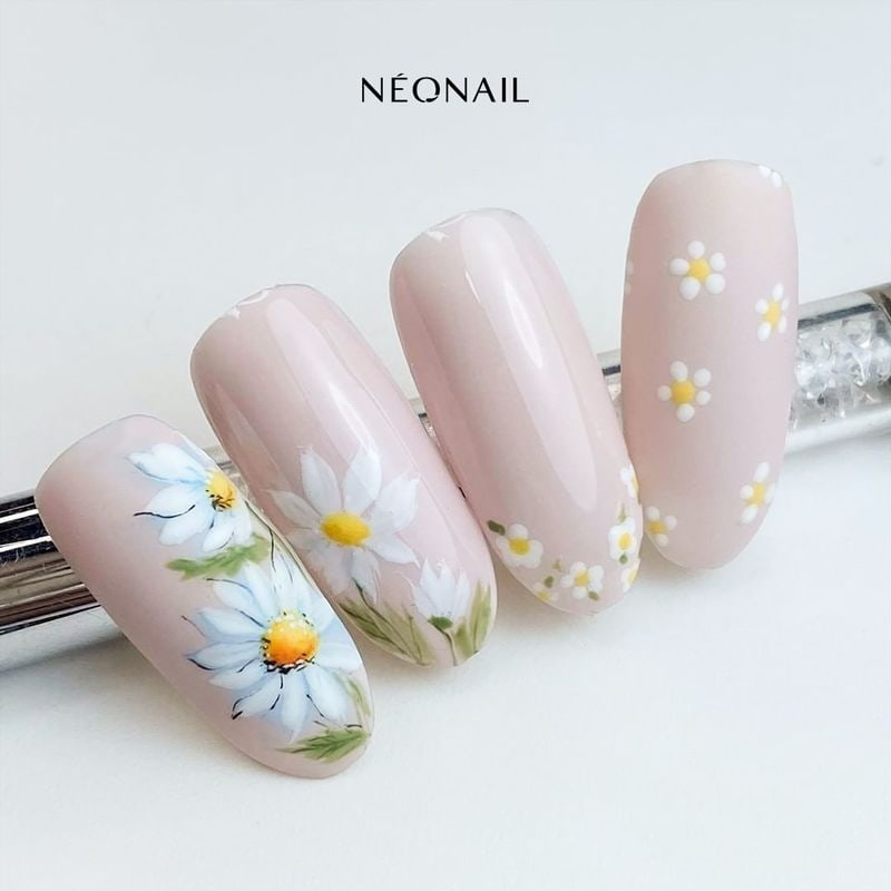 Daisy love