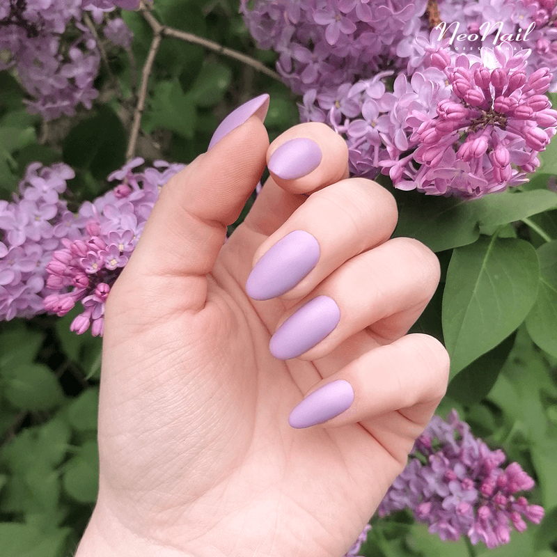 Lilac matte